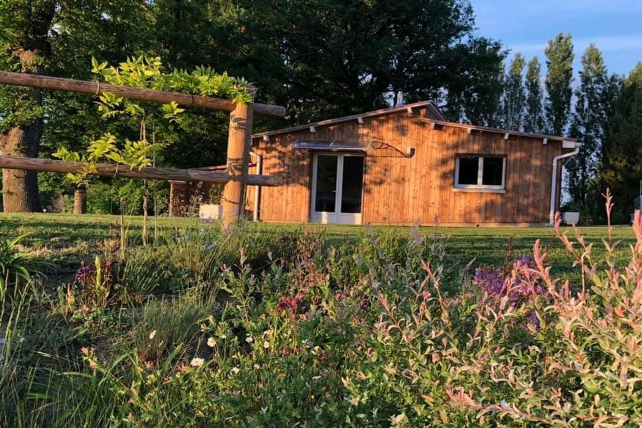 La Grenouillere Villa Caussade Eksteriør billede